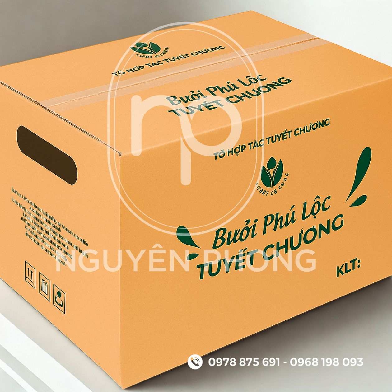 Mẫu in thùng carton đựng bưởi da xanh